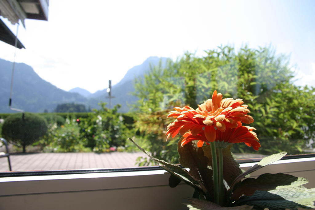 Gaestehaus Elisabeth Schwangau Buitenkant foto
